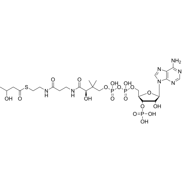 3-Hydroxybutyryl-CoA 2871-66-1